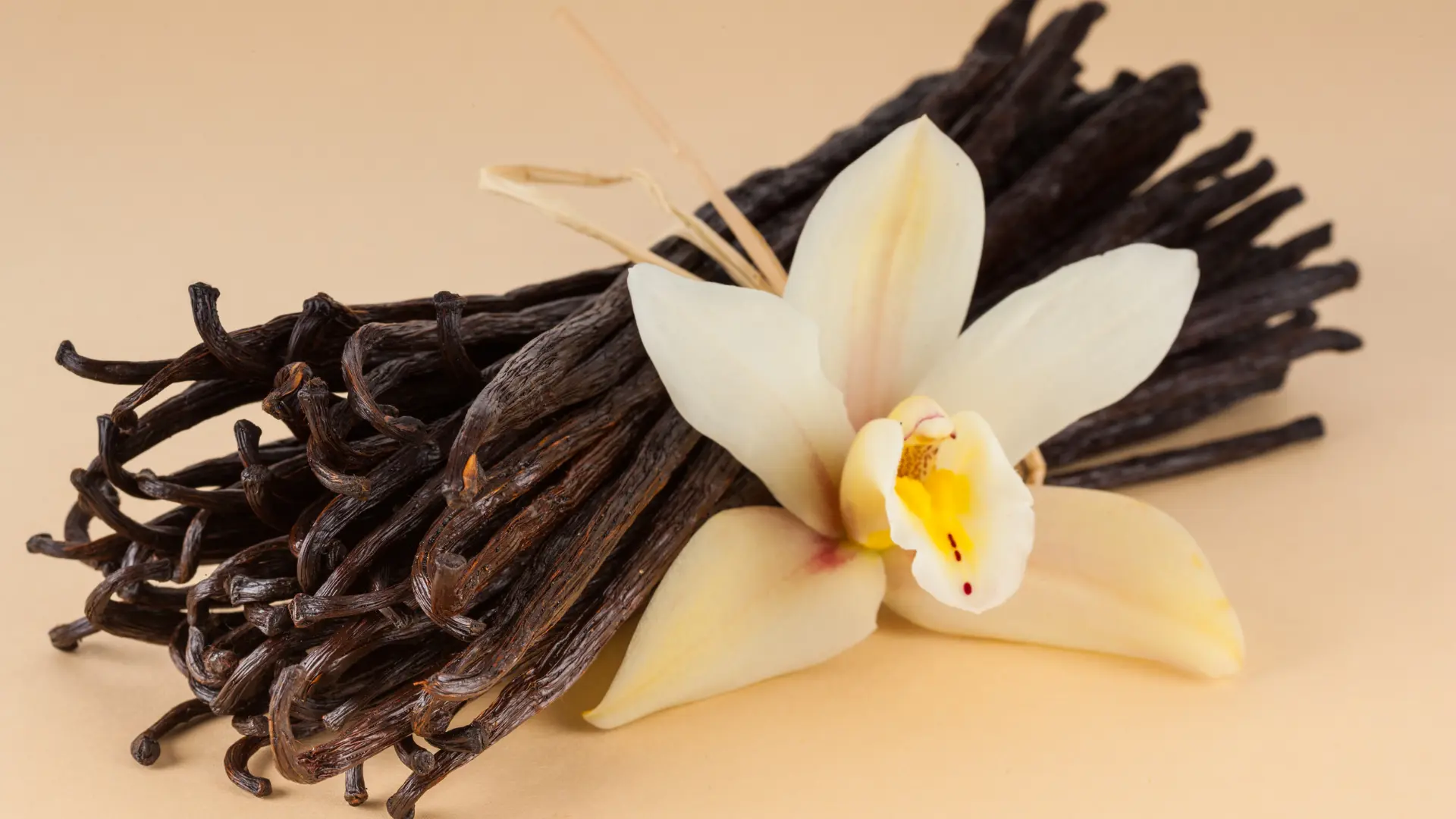 Cured Indonesian vanilla beans sorted by grade during grading and packing