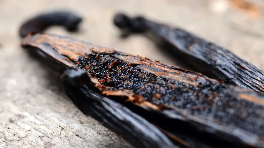 Vanilla caviar, pure black vanilla seeds scraped from ripe Indonesian pods