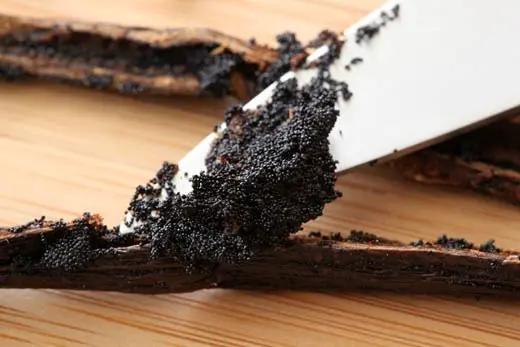 Close-up of glossy black vanilla caviar seeds showing their fine texture